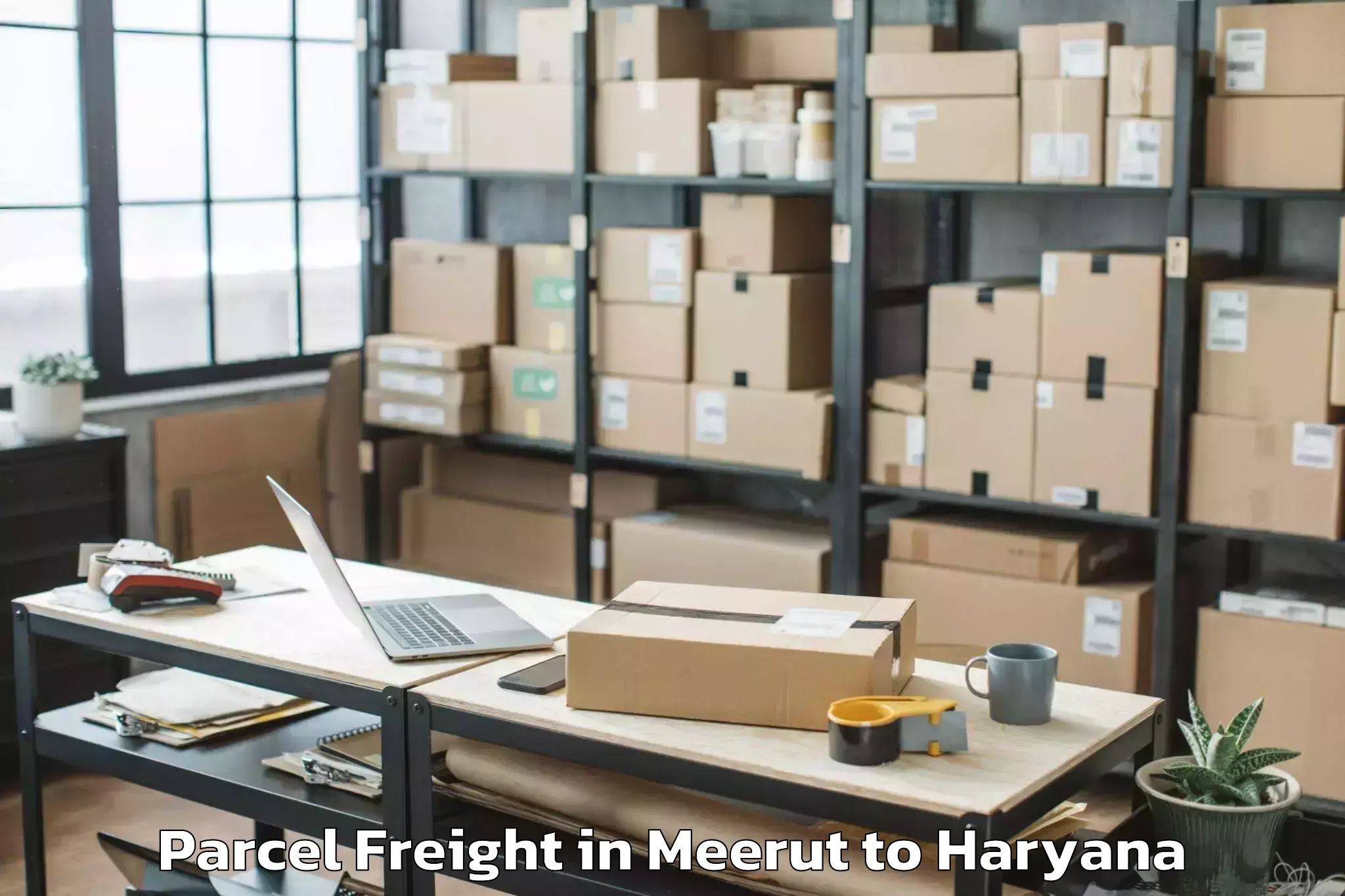 Top Meerut to Srm University Haryana Sonipat Parcel Freight Available